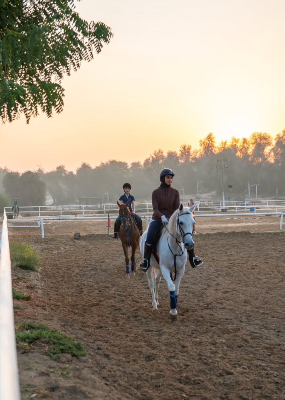 Group Horse Riding Class Image.png